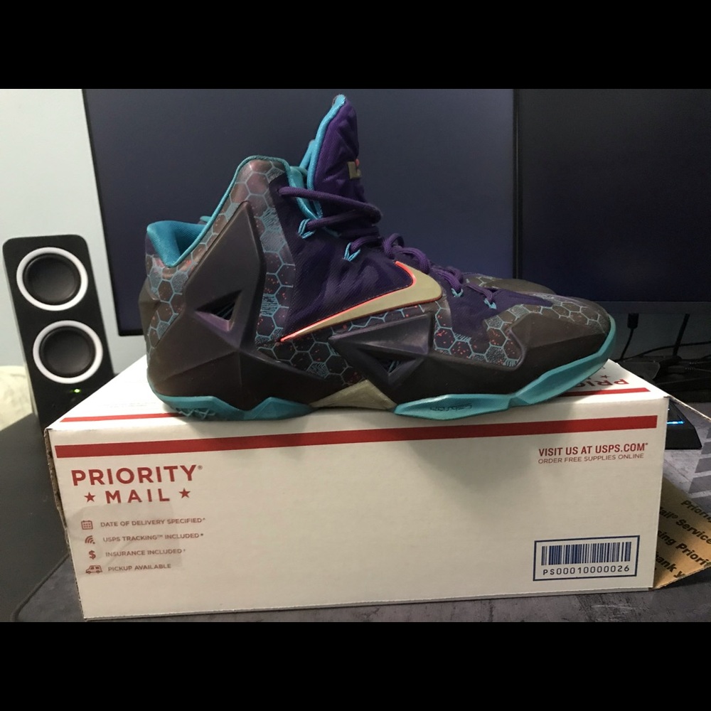 Nike Lebron 11 Hornets Men Size 10